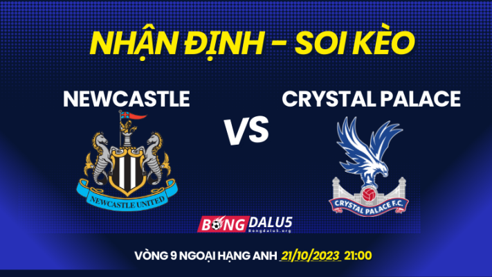 Newcastle-vs-Crystal Palace (1)